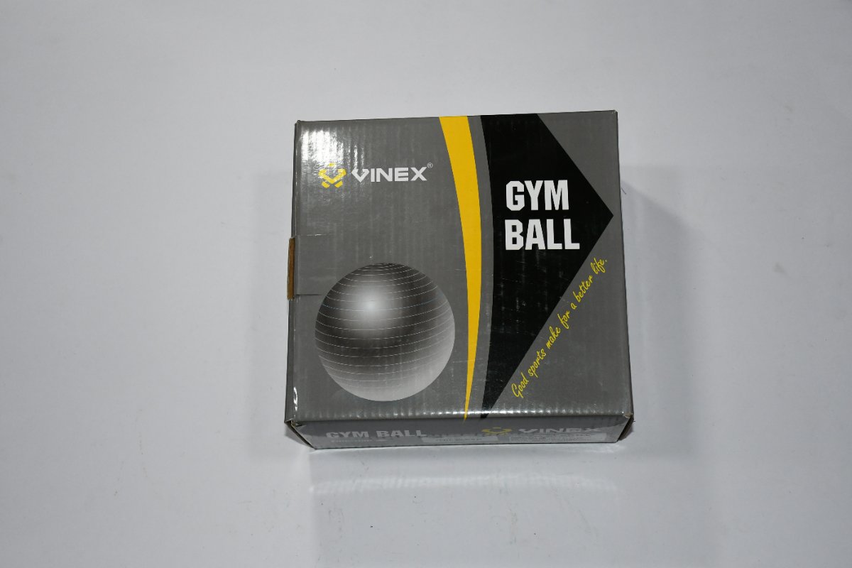 Vinex Gym Ball