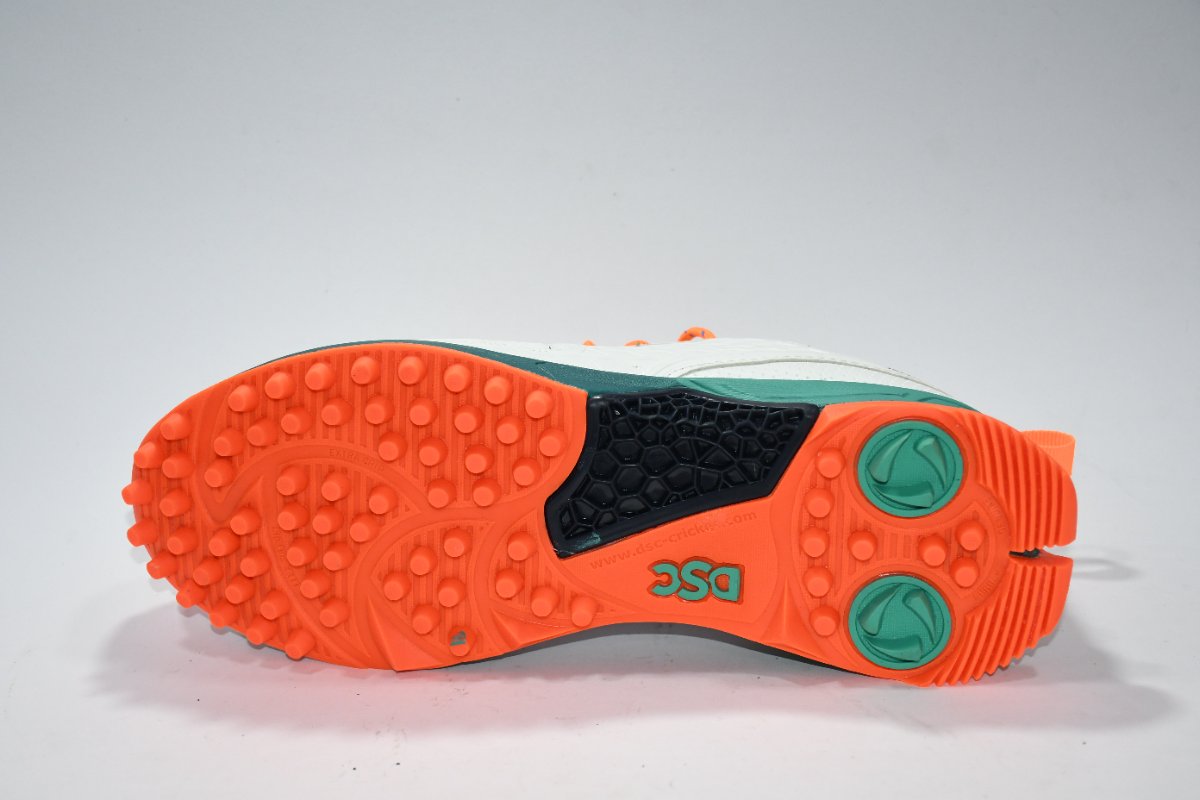 DSC Cricket Shoe