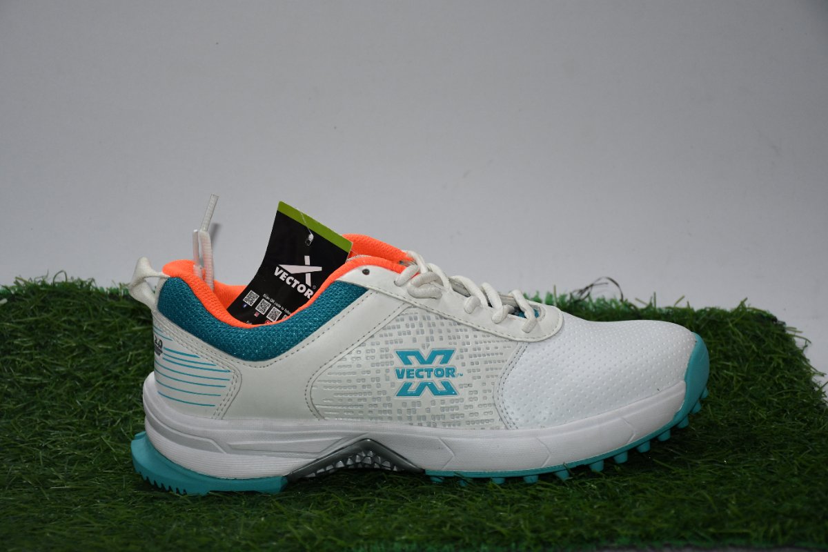Vector Cricket Shoe
